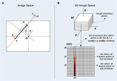 A Spiking Neural Model of HT3D for Corner Detection